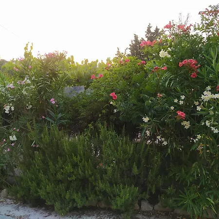 Captain's House Longos (Paxos)